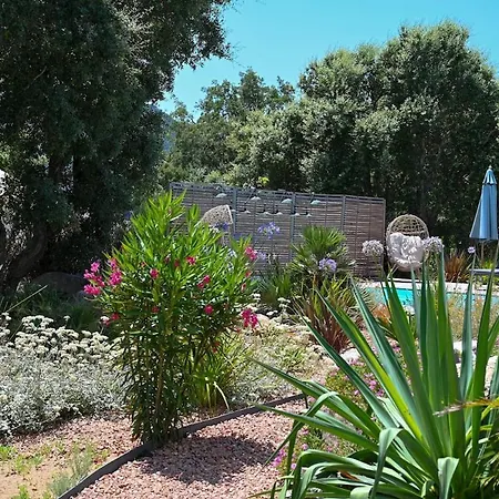 Miasuli, Piscine Chauffée, à 8 Min à Pied * Sainte-Lucie-de-Porto-Vecchio