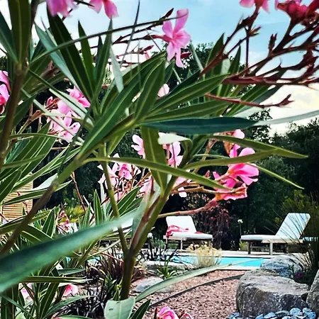 Miasuli, Piscine Chauffee, A 8 Min A Pied